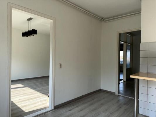 Palmstraat Image 2