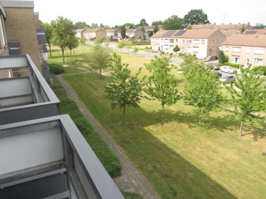 Palmstraat Image 3