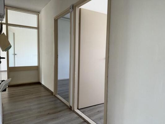 Palmstraat Image 4