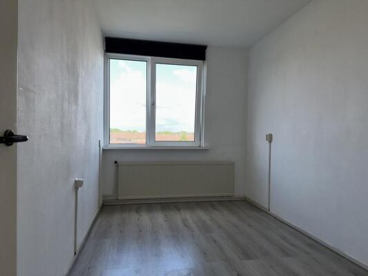 Palmstraat Image 8