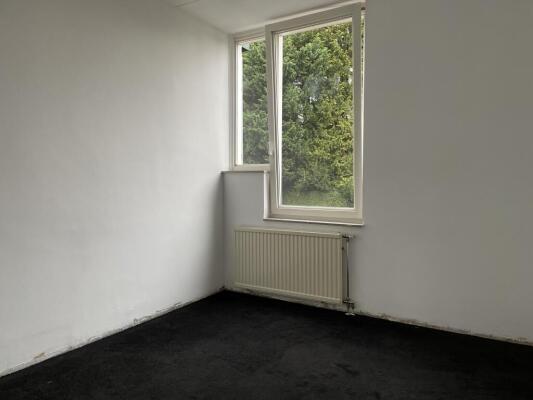 Pastorijstraat Image 9