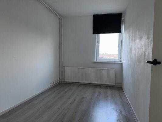 Palmstraat Image 9