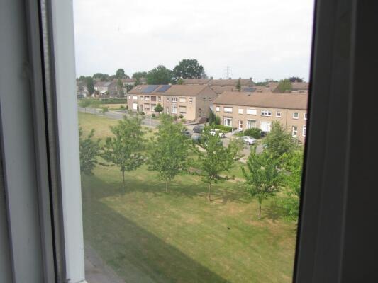 Palmstraat Image 14