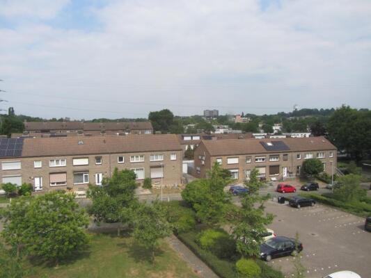 Palmstraat Image 15