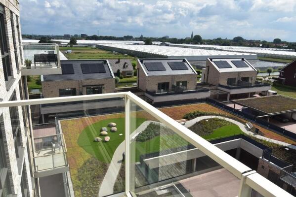 Fluwijn Image 7