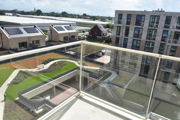 Fluwijn Image 9