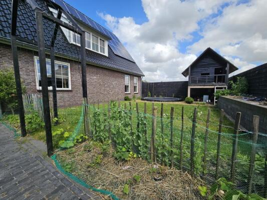 Schoolweg Image 81