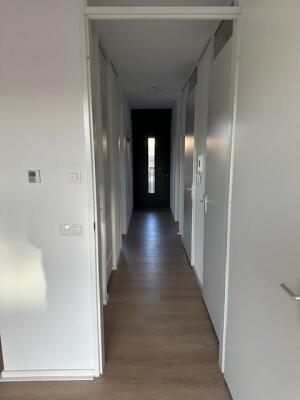 Singravenlaan Image 1