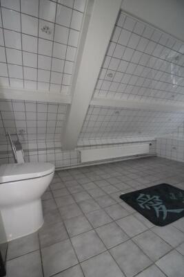 Skânserwei Image 20