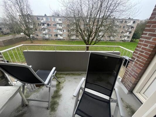 Europalaan 491 Image 2