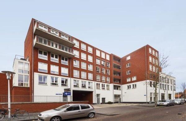 Hoog Gagel  Image 0