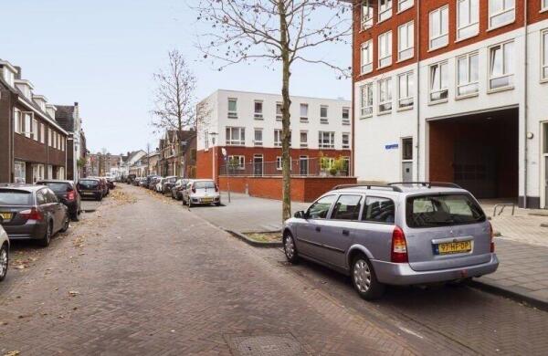 Hoog Gagel  Image 2