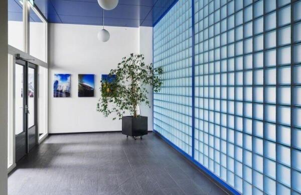 Hoog Gagel  Image 3