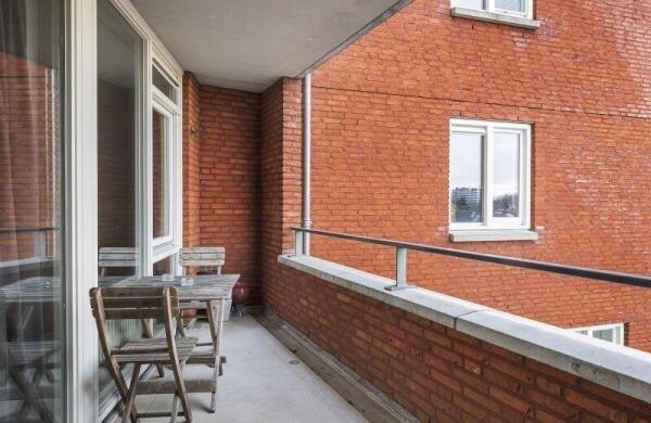 Hoog Gagel  Image 7