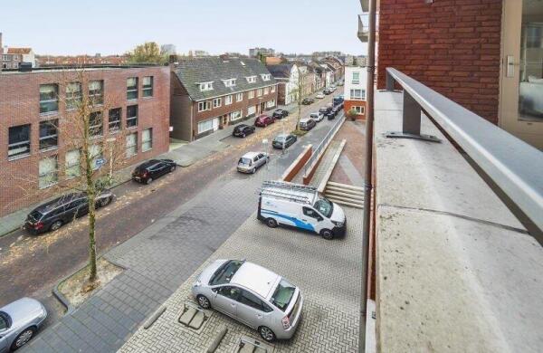 Hoog Gagel  Image 8