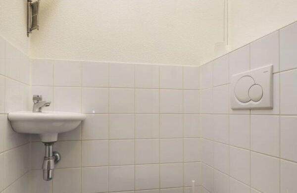 Hoog Gagel  Image 14