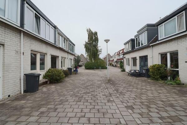 Jelle Posthumapad 73 Image 42