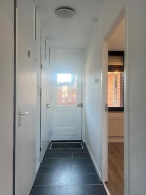 Drievogelstraat Image 1