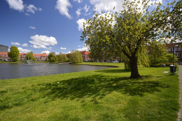 Kortenaerstraat Image 11