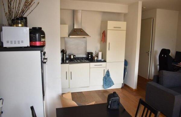 Willem de Zwijgerstraat  Image 4