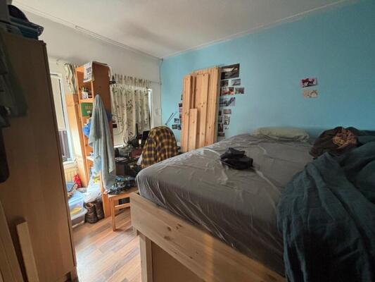 Johan de Wittlaan 417 Image 1