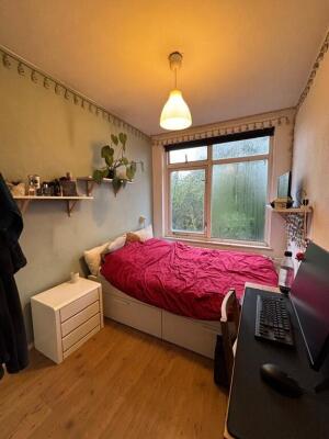 Thorbeckestraat 56 Image 1