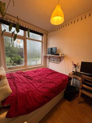 Thorbeckestraat 56 Image 2