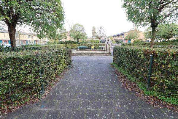 Agaatvlinder 21 Image 30