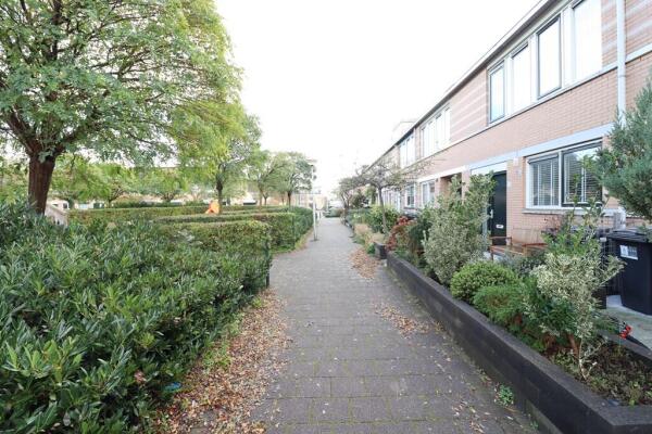 Agaatvlinder 21 Image 31