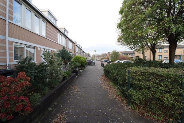 Agaatvlinder 21 Image 32