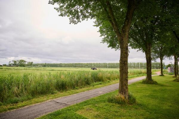 Nijensteinheerd Image 1