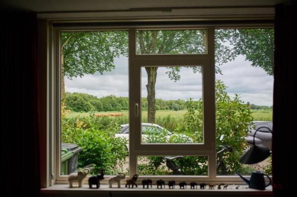 Nijensteinheerd Image 4