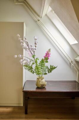 Nijensteinheerd Image 16