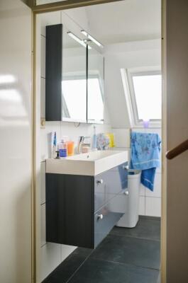 Nijensteinheerd Image 18