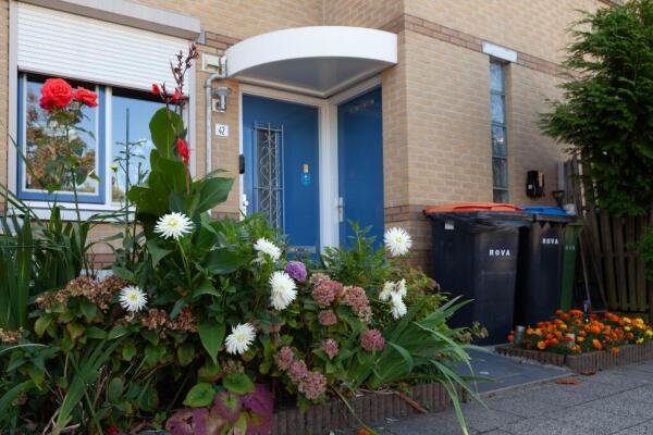 Triangelstraat Image 1