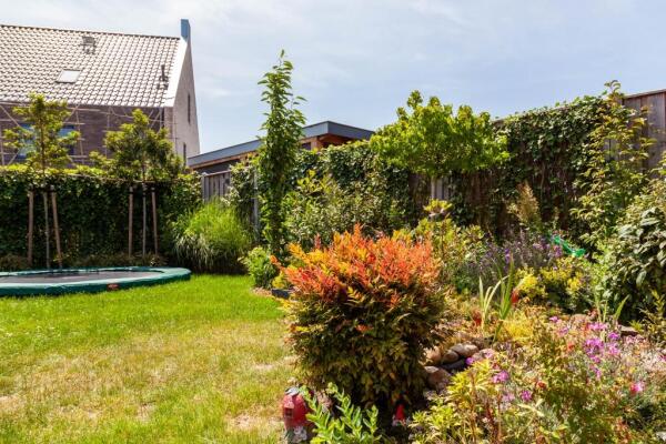 Nederwoudseweg Image 1