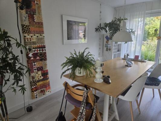 Ottoborrengoed Image 2