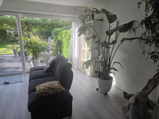 Ottoborrengoed Image 6