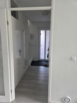 Ottoborrengoed Image 8