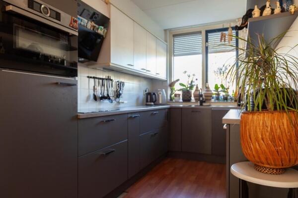 Triangelstraat Image 9