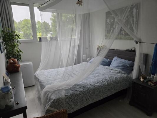 Ottoborrengoed Image 16