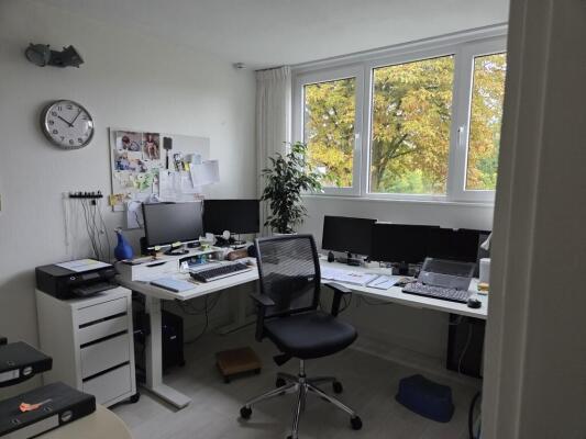 Ottoborrengoed Image 19