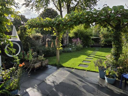 Ottoborrengoed Image 34