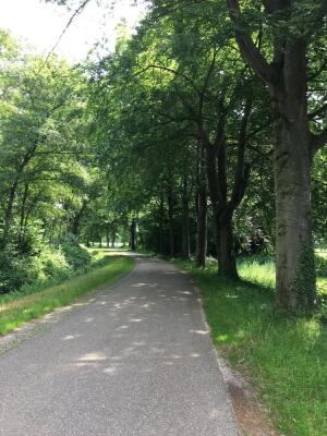 Markveldseweg Image 15
