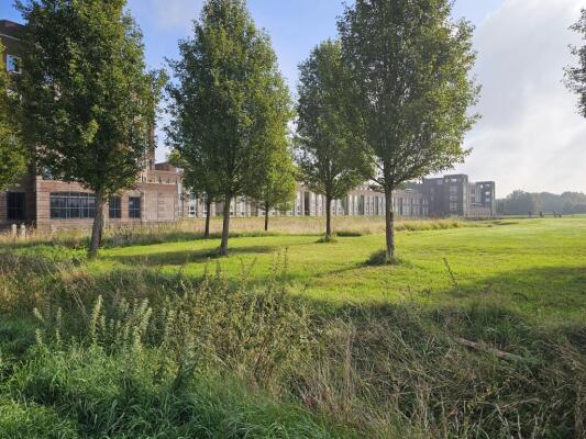 Parcivalring Image 30