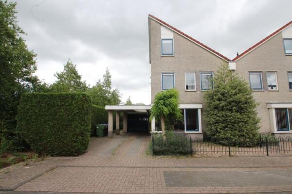 Braamspinner Image 1