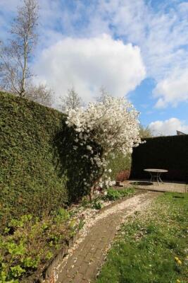 Braamspinner Image 6