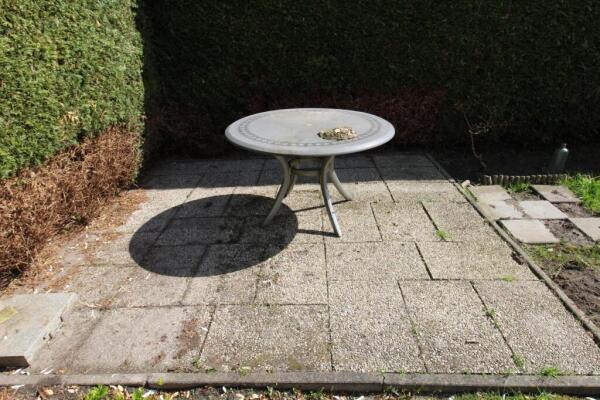 Braamspinner Image 7