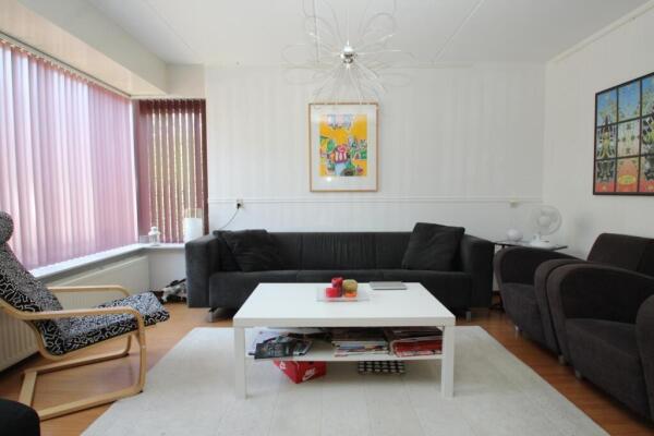 Braamspinner Image 8