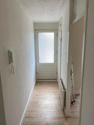 Content Hofstede Image 8